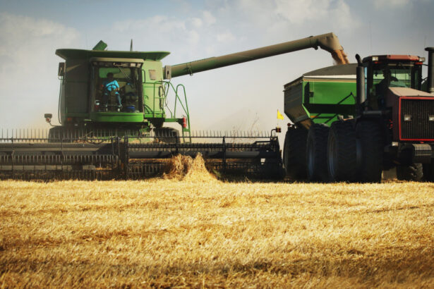 subventia apia fost redusa de la 58 la 20 euro ha ce spun fermierii 690b711c853d7