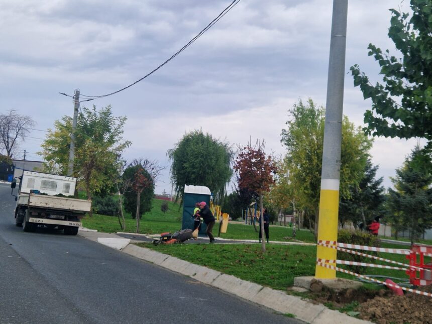 toaletari de copaci intretinere spatii verzi si igienizarea locurilor de joaca o preocupare in comuna valu lui traian 692ba6e888d27