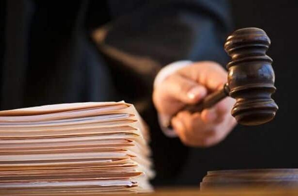 un barbat din comuna valu lui traian este cercetat penal pentru ranirea animalelor 6914365e5727b