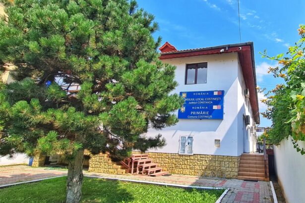 un important regulament local din costinesti ajunge in atentia judecatorilor iata despre ce este vorba 69267ef1f1050