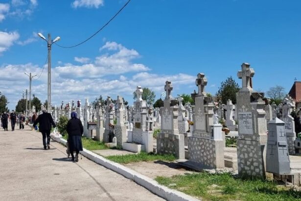 un talhar proaspat eliberat din penitenciar a batut si jefuit o femeie care se afla la mormantul fiului ei in cimitirul central din constanta 691eebc55c313