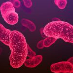 un virus antic devine rapid rezistent la antibiotice avertizeaza oamenii de stiinta 69230f758dc7a