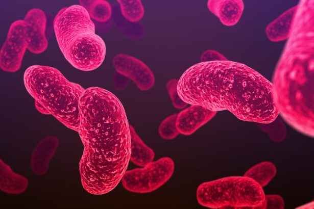 un virus antic devine rapid rezistent la antibiotice avertizeaza oamenii de stiinta 69230f758dc7a