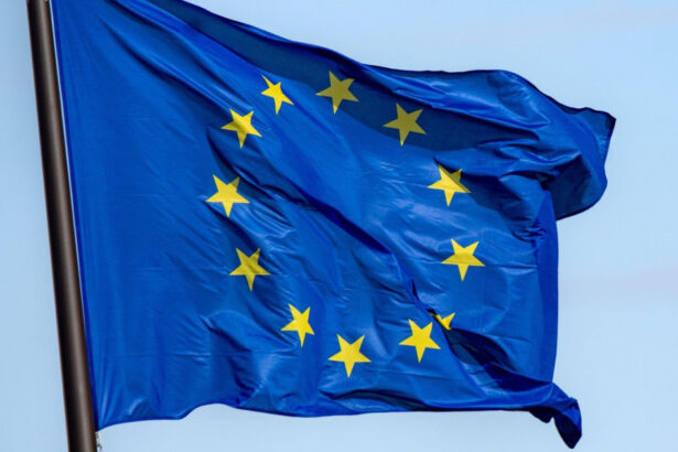 uniunea europeana introduce reguli mai stricte pentru publicitatea politica cum se aplica in romania si cine monitorizeaza 691dadda53498