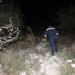 update alerta la murfatlar un barbat de 70 de ani disparut in padure 6906848c939bb