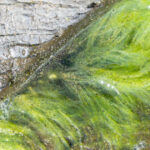 viata pe pamant a inceput mai devreme decat se credea noile dovezi descoperite de cercetatori in africa de sud 692c95de0ac3c