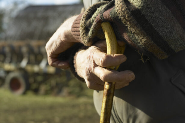 video case parasite ulite pustii cum arata viata in satele romaniei in care mai traiesc doar cativa batrani e greu tare vai de noi 690ecfa0ae2b1