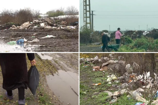 video imagini revoltatoare campuri sufocate de gunoaie intr o comuna din olt localnicii si primarul se invinovatesc reciproc 6922b27cb154b