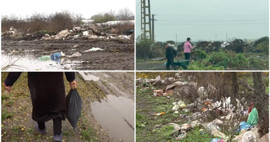 video imagini revoltatoare campuri sufocate de gunoaie intr o comuna din olt localnicii si primarul se invinovatesc reciproc 6922b27cb154b