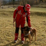 video in muntii maramuresului athos este cainele erou al salvamontistilor stie cand trebuie sa plecam undeva sau cand avem o misiune 6910805563d92