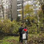 video lucian judele taierile ilegale din zona parcului ior par intamplari desprinse dintr un film cu mafia din anii 60 70 6925fdfbd1045