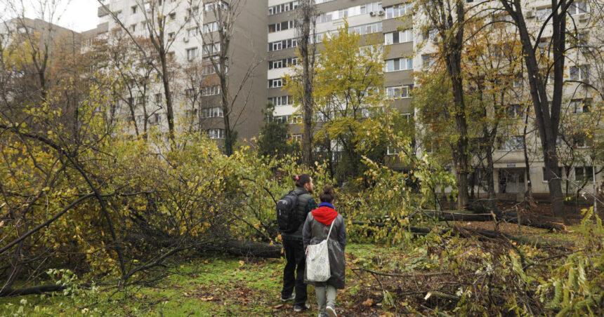 video lucian judele taierile ilegale din zona parcului ior par intamplari desprinse dintr un film cu mafia din anii 60 70 6925fdfbd1045