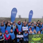 video mii de copaci au fost plantati de angajatii digi daca natura are grija de noi trebuie sa avem si noi grija de natura 691761de2ea4e