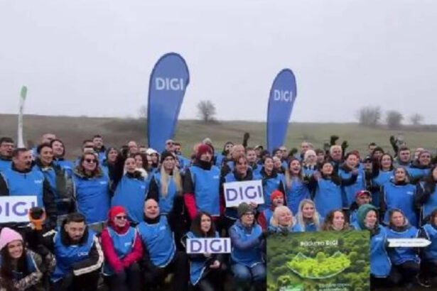 video mii de copaci au fost plantati de angajatii digi daca natura are grija de noi trebuie sa avem si noi grija de natura 691761de2ea4e