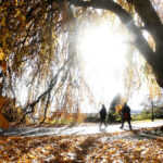 video noiembrie incepe cu temperaturi de vara meteorologii anunta cum va fi vremea in urmatoarele zile 6905b51252017