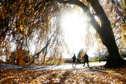 video noiembrie incepe cu temperaturi de vara meteorologii anunta cum va fi vremea in urmatoarele zile 6905b51252017