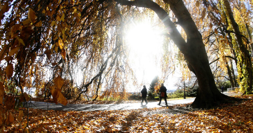 video noiembrie incepe cu temperaturi de vara meteorologii anunta cum va fi vremea in urmatoarele zile 6905b51252017