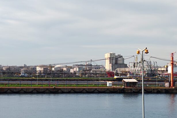 video perchezitii masive diicot firme locuinte si un operator portuar din constanta vizate intr un dosar de crima organizata 6928274c88068