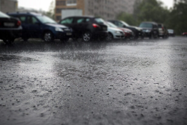 video prognoza pentru 1 decembrie anm anunta ploi in centru sud si est alaturi de lapovita la munte cum va fi vremea in capitala 692c652526495