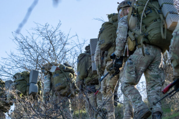 videofoto exercitiu nato in alba militari romani francezi si portughezi au construit in timp record un pod plutitor peste raul mures 6910a02abad1f