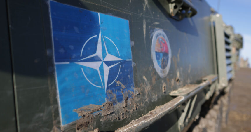 videofoto exercitiul nato dacian fall 25 s a incheiat antrenamentul un test pentru grupul de lupta de la cincu 69161aba1b165