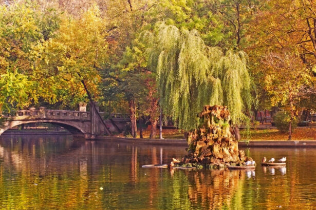 vremea se incalzeste din nou zonele in care vor fi 20 de grade prognoza anuntata de meteorologi pentru saptamana viitoare 69159fc06f38a