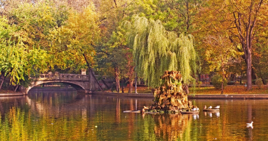 vremea se incalzeste din nou zonele in care vor fi 20 de grade prognoza anuntata de meteorologi pentru saptamana viitoare 69159fc06f38a