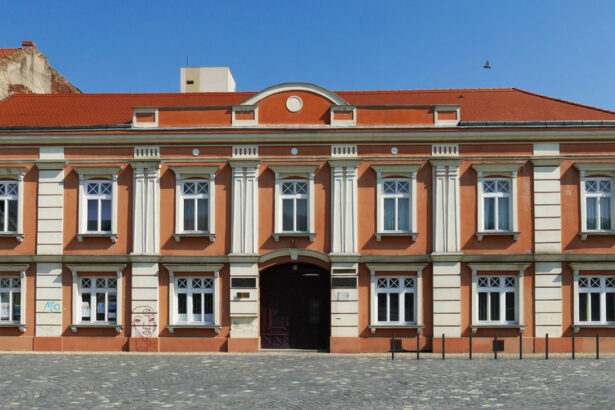 a fost stabilita cauza decesului elevului de 8 ani din timisoara gasit fara suflare dupa ce s a intors de la un majorat 69402060ad2a1