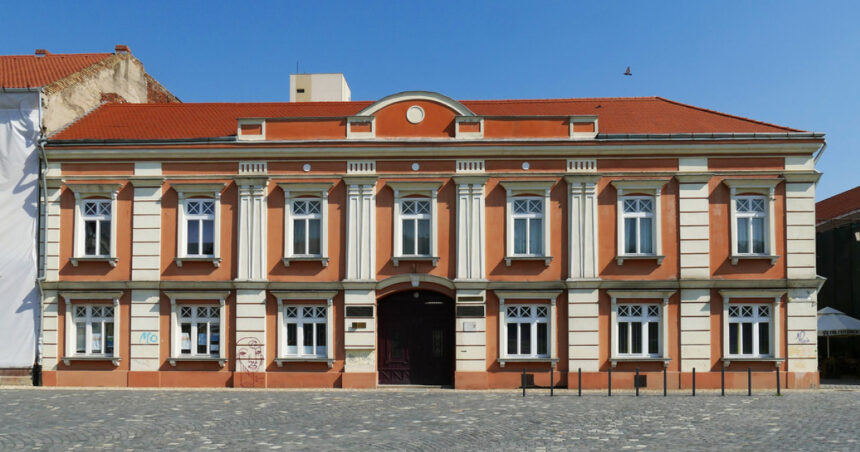 a fost stabilita cauza decesului elevului de 8 ani din timisoara gasit fara suflare dupa ce s a intors de la un majorat 69402060ad2a1