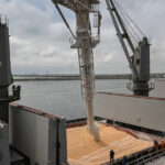 al dahra holding va pleca din comertul cu cereale din romania in 2026 cum a ajuns piata intr o lipsa totala de control 693afc421da1e