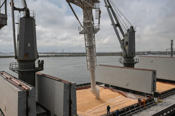 al dahra holding va pleca din comertul cu cereale din romania in 2026 cum a ajuns piata intr o lipsa totala de control 693afc421da1e