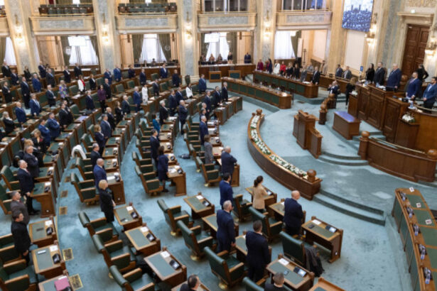 amenzi de pana la 20 000 lei pentru comportament agresiv in institutii ce prevede proiectul adoptat tacit de senat 692f0ea488e1a