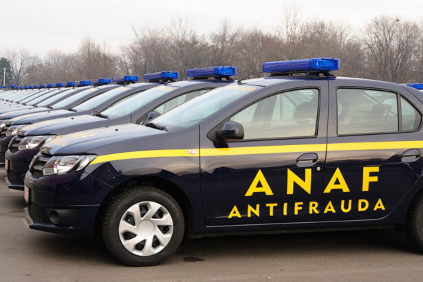 anaf a amendat cu aproape 18 milioane de lei comercianti care nu au plafonat preturile la alimentele de baza inclusiv hipermarketuri 6943d90631e49
