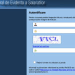 angajatorii trebuie sa treaca la reges online pana la 31 decembrie ce risca firmele care nu respecta termenul 694119dc67442