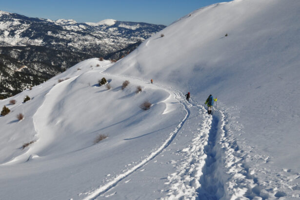 avalansa mortala pe muntele vardousia din grecia echipele de salvare au gasit trupurile a patru alpinisti printre care o femeie 694fbd986a4a0
