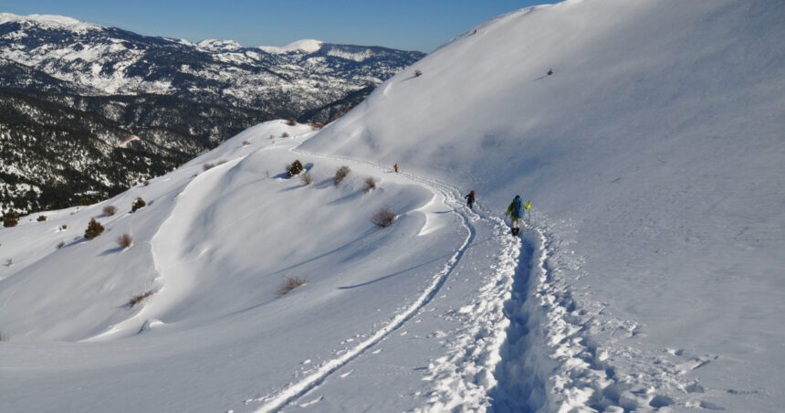 avalansa mortala pe muntele vardousia din grecia echipele de salvare au gasit trupurile a patru alpinisti printre care o femeie 694fbd986a4a0