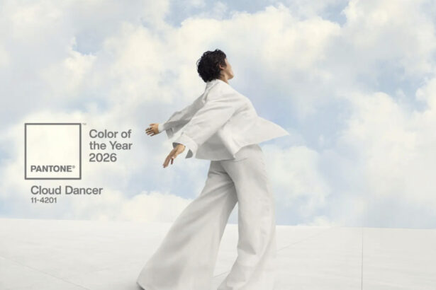 care este culoarea anului 2026 ce semnificatie are nuanta aleasa conform institutului pantone 6931aa7721f4d