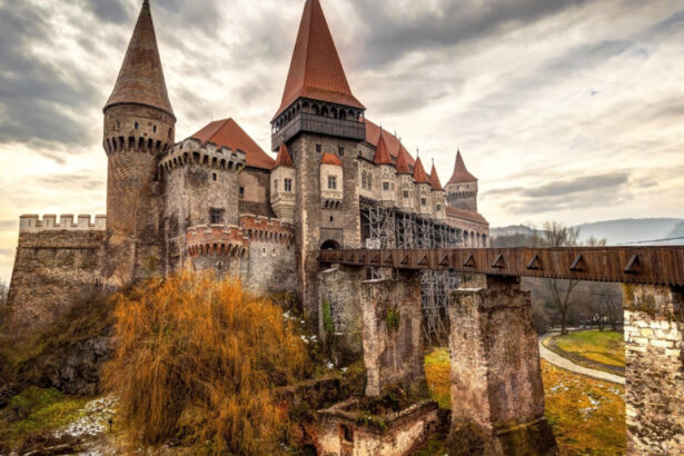 caseta metalica cu documente descoperita sub talpa cavalerului de pe acoperisul castelului corvinilor ce ascundea aceasta 694db1eede4f6