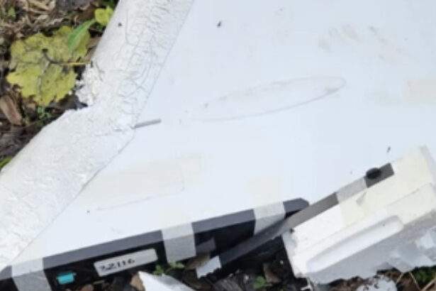 cazul dronei rusesti care a survolat ore bune estul romaniei nicusor dan nu aveam prea multe mijloace de aparare in acea zona 69374f440b7b8