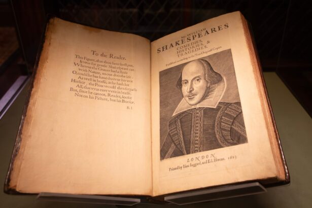 cine a fost sotia lui shakespeare intrebarile la care istoria nu poate raspunde 6937071203546