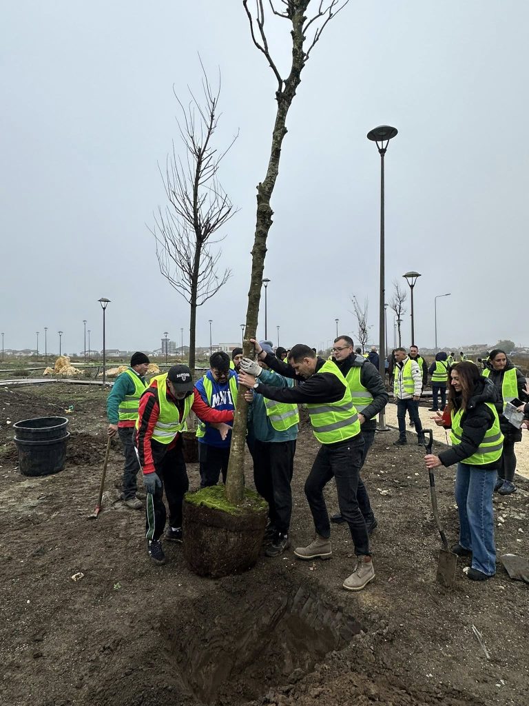 consilierii locali au votat necesitatea si oportunitatea amenajarii parcului etniilor arborele vietii 694b210b55a6c