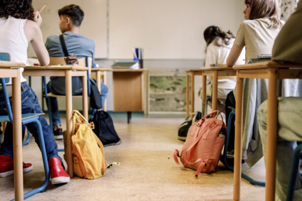 cum pot elevii din romania sa studieze un an de liceu in sua conditii de inscriere si calendarul complet al programului flex 693a512dc7613