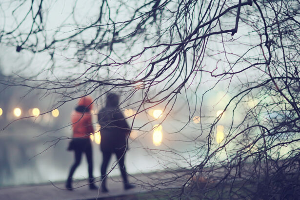 cum va fi vremea de craciun si revelion anm a actualizat prognoza pentru finalul lui 2025 69410f526e327