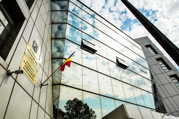 detalii din dosar un membru al familiei fostului sef al agentiei fondului pentru mediu condamnat cu executare la constanta 693255bbab3dd