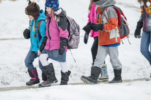 elevii intra in vacanta de craciun 19 zile libere de la cursuri pe ce data se intorc la scoala in 2026 69424f726e4b8