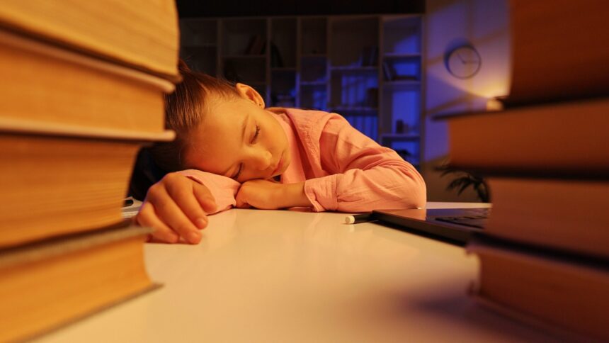 este bine sau rau ca elevii sa aiba teme de vacanta 6952857108679