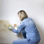 factori care favorizeaza formarea mucegaiului in locuinte cele mai simple metode de prevenire recomandate de specialisti 693e459d7099c