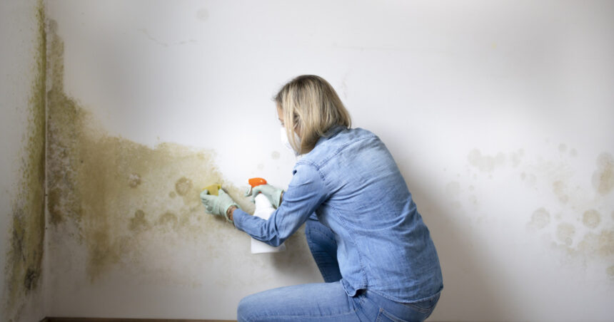 factori care favorizeaza formarea mucegaiului in locuinte cele mai simple metode de prevenire recomandate de specialisti 693e459d7099c