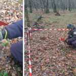 grenada ofensiva functionala descoperita intr o padure din botosani de un pasionat de detectii metalice 692dea8149607