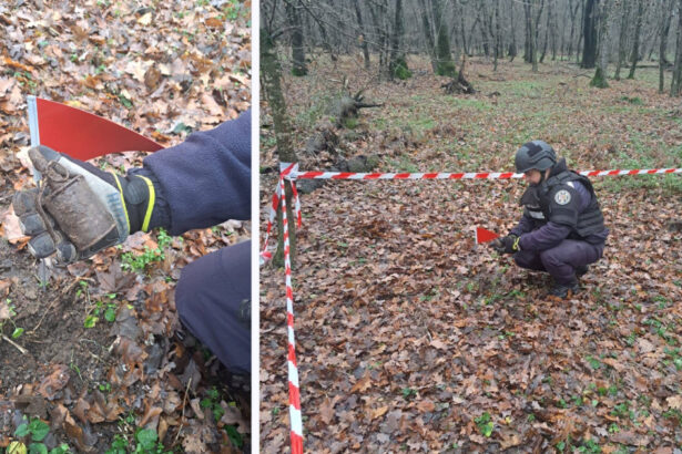 grenada ofensiva functionala descoperita intr o padure din botosani de un pasionat de detectii metalice 692dea8149607